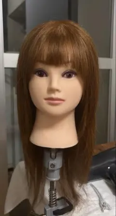 ユーロプレステージ Mー06N アップ マネキン ウィッグ セット