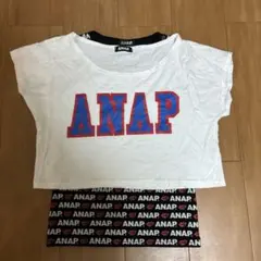 ANAP セットアップ