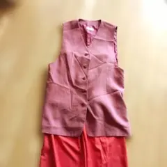 赤ベストVINVERTのサムネイル