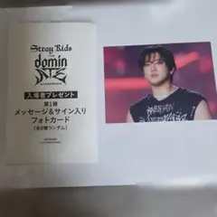 StrayKids dominATE 映画 入場特典 チャンビン