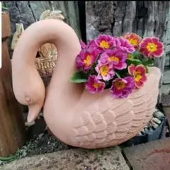 温かみのあるテラコッタ色合い♡美しい姿の 白鳥型の植木鉢 / プランター ✿