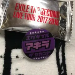 AKIRA 缶バッジ