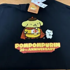 ポムポムプリン 30周年 半袖 Tシャツ 刺繍 ヒーロー 3L アベイル