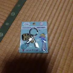ソラカラちゃん スカイツリートレイン メタルキーホルダー