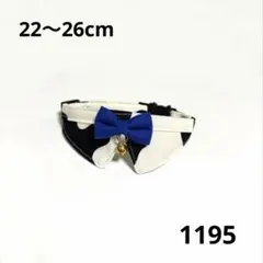 Item thumbnail for item 3e1a28f3-918b-4ce0-b488-274528e57dfa