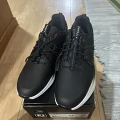 フットジョイ　HYPERFLEX 26.5センチのサムネイル