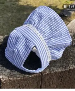 Item thumbnail for item 9ae2c3fe-2982-4b24-a38f-6c7de1822cb4