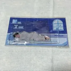 Snow Man 渡辺翔太　アクリルスタンド　RAYS