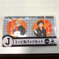 ハイキュー　月島蛍　山口忠　セット