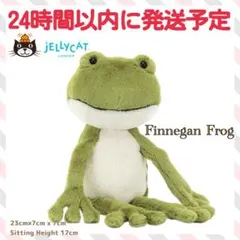 廃盤 新品 ジェリーキャット トカゲ カメレオン 爬虫類 chameleon