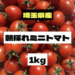 ★朝採れミニトマト★Sサイズ‼️コンパクト箱込み1kg‼️のサムネイル