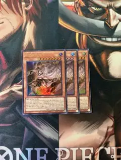 遊戯王　教導の死徒　3枚　Vジャンプ　ドラグマ　チャプレーン⑧