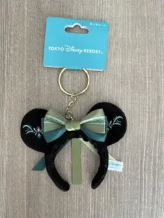 東京ディズニーリゾート　アナ カチューシャ キーホルダー キーチェーン