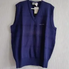 Item thumbnail for item 91da1913-0ecf-42e8-8aff-7d9655bd05cd