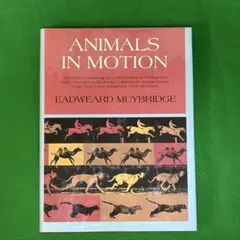 ANIMALS IN MOTION EADWEARD MUYBRIDGE