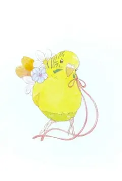 【原画アレンジ　手仕事】　セキセイインコ　黄色　おめかし　ポストカード