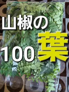 山椒　山椒の葉　野菜　100枚～のサムネイル