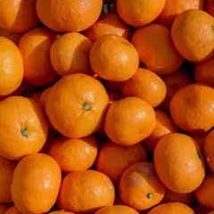 mit様専用ページ