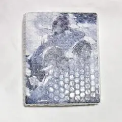 Le Mirage Mystique ミラミス ブロッコリー アートパネル