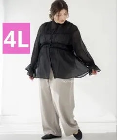 4L⭐️myuwa ミューワ シアー シャーリング シャツ ブラウス ブラック