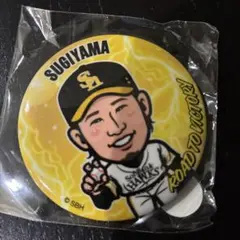 ソフトバンクホークス　若鷹ガチャ　杉山選手