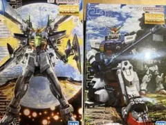 MG 陸戦型ガンダム MG ゼフィランサス 未組立品セット MG 陸戦型ガンダム MG ゼフィランサス 未組立品セット - メルカリ