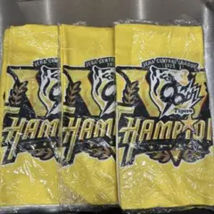 阪神タイガース 2025 優勝記念 フェイスタオル 3枚セット 非売品のサムネイル