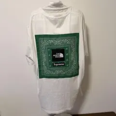Supreme The North Face Bandana Tee 【️激レア】