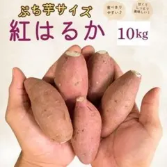 最高糖度☆ぷち芋 紅はるか 訳あり 10kg さつまいも 51のサムネイル