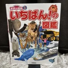 いちばん!の図鑑⭐︎タイムセール☆