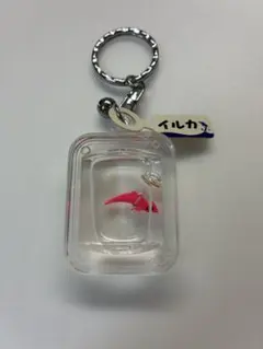 希少品！入手困難品！オイルドーム レトロ 昭和　アンティーク 希少品！入手困難品！オイルドーム レトロ 昭和 アンティーク - メルカリ