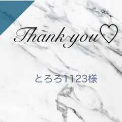 とろろ1123様 リクエスト 3点 まとめ商品　ねじバネへ変更