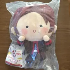 刀剣乱舞 加州清光 B賞F賞びっぐぬいぐるみ缶バッジセット - メルカリ