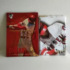 MLB 2021年MVP初受賞記念 大谷翔平選手プレミアムフレーム切手セット