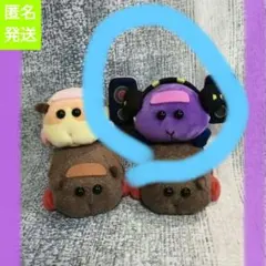 モルカー　ぴたれすと