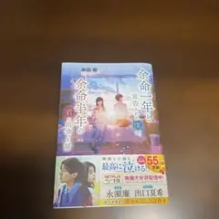 余命一年の僕たち 森田淳