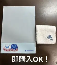 【匿名配送】愛知淑徳高校 ハンカチ、ファイル
