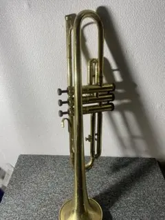 2025年最新】トランペット ジャンクの人気アイテム - メルカリ