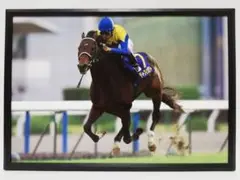 競馬 ディープインパクト パネル Record Folder