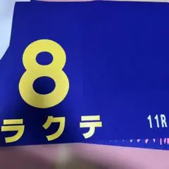 2025年最新】競馬ゼッケン 実使用の人気アイテム - メルカリ