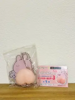 あさみみちゃん おしりもちもちスクイーズ アクリルキーホルダー 3
