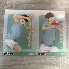 ハイキュー!! 及川徹 岩泉一ブロマイドカードセット