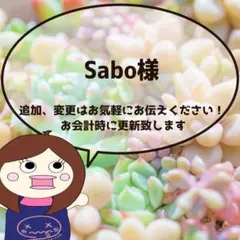 Sabo様