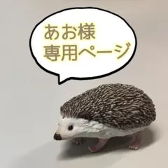 あお様専用ページ
