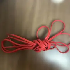 ZEROグライドシューレース 赤色