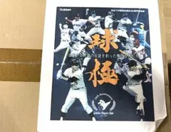 新品 未使用 未開封 球極 日本プロ野球名球会オフィシャルブック