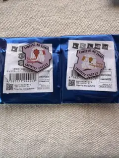 鬼滅の刃　キャラクターモチーフピンズ第一弾