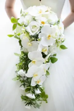 【ウェディングブーケ】キャスケード　ホワイトオーキッドとホワイトローズ