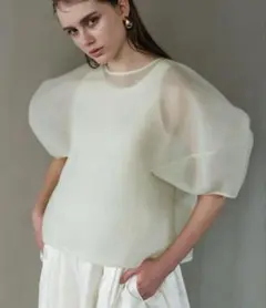 Liten Sheer Sculpture Tops(ミント)