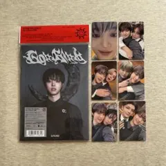 &TEAM 月狼　ウィジュ EJ ソロジャケ　トレカ